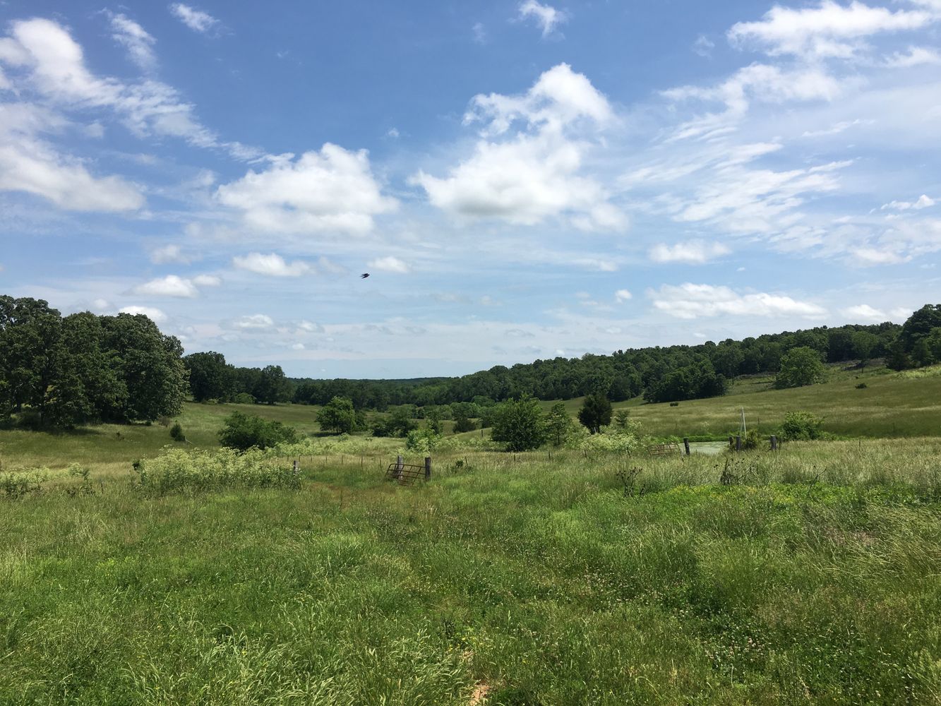4897 & 4878 Norman Drive, Hartville, MO 65667